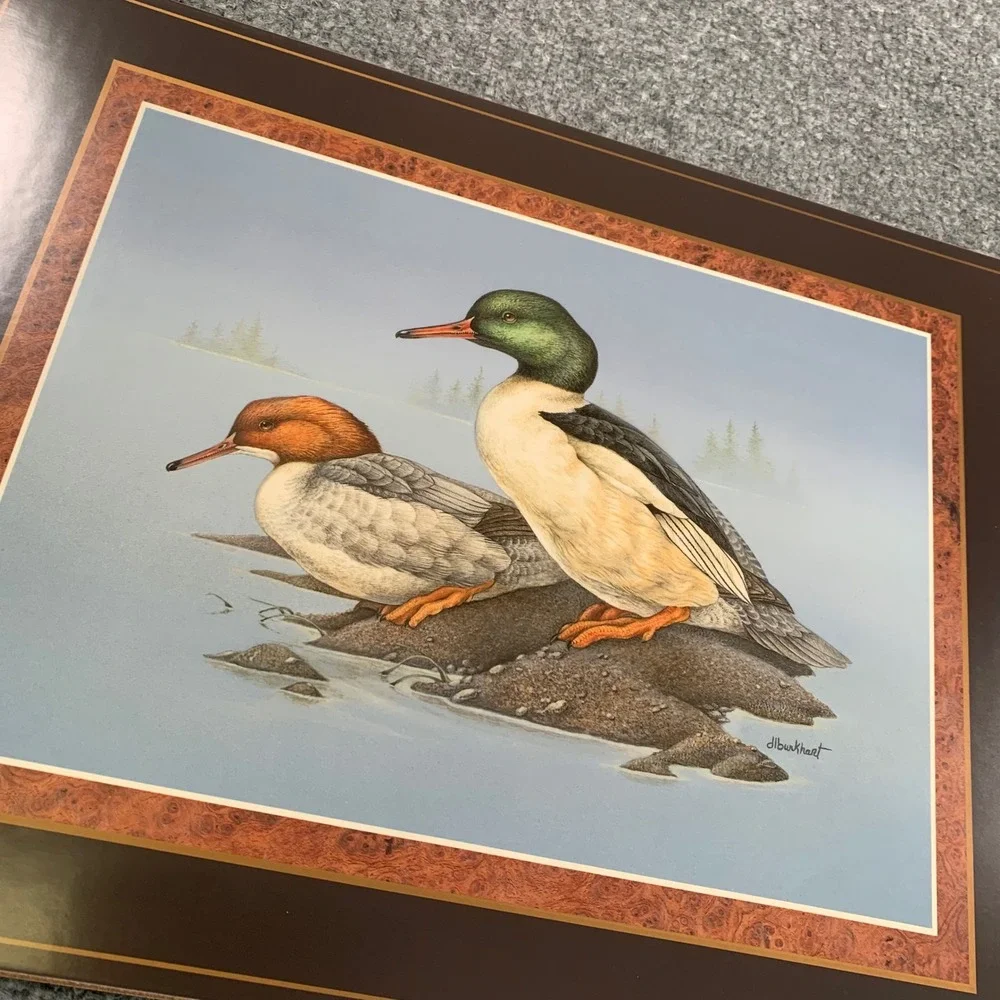 Pimpernel Duck Waterfowl Placemats‎ & Coasters Set Cork Backed Vintage England